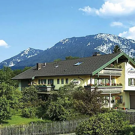 Dippel * Ruhpolding